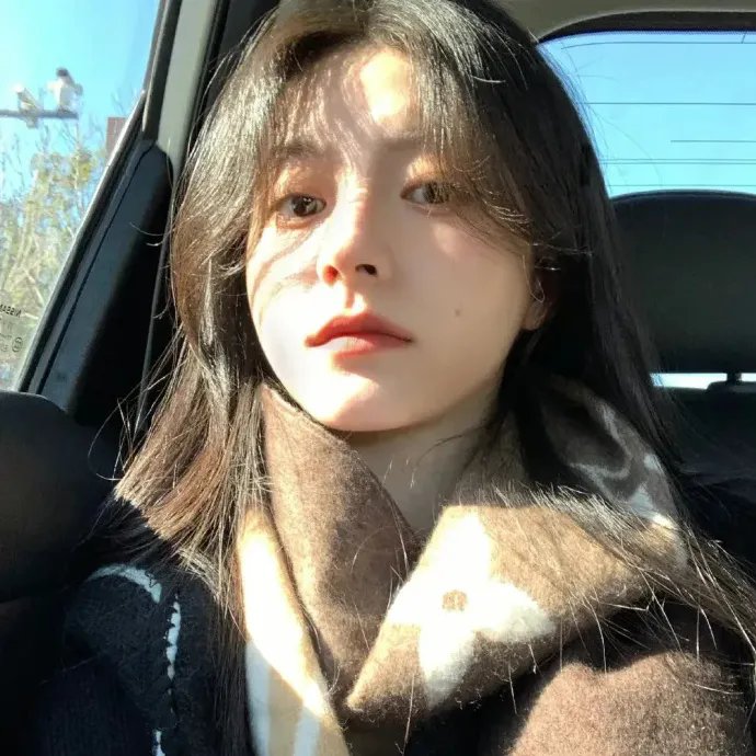 军检察官多伯曼犬